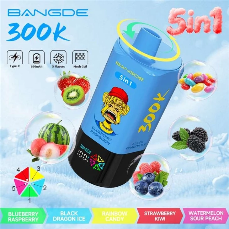 BANG DE 300K 5in1 factory