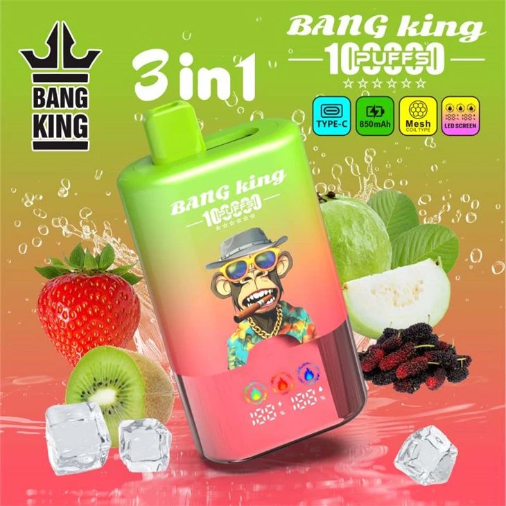 BANG KING 100000 PUFFS BANG KING 100000 PUFFS