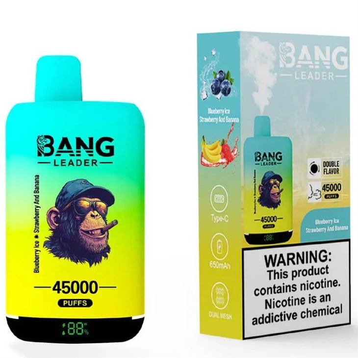 Bang Leader 45000 factory Bang Leader 45000 factory