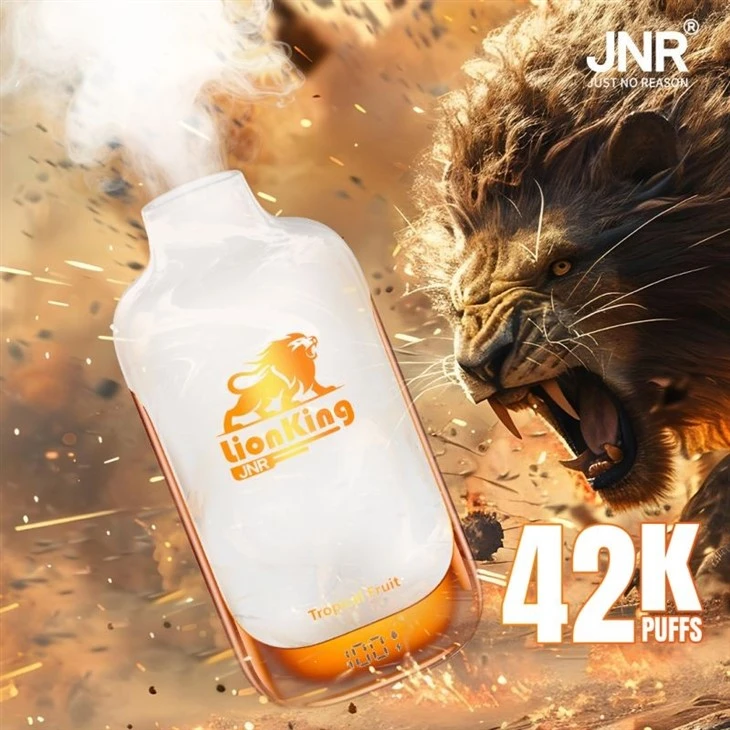 JNR LionKing 42000 22 JNR LionKing 42000 22