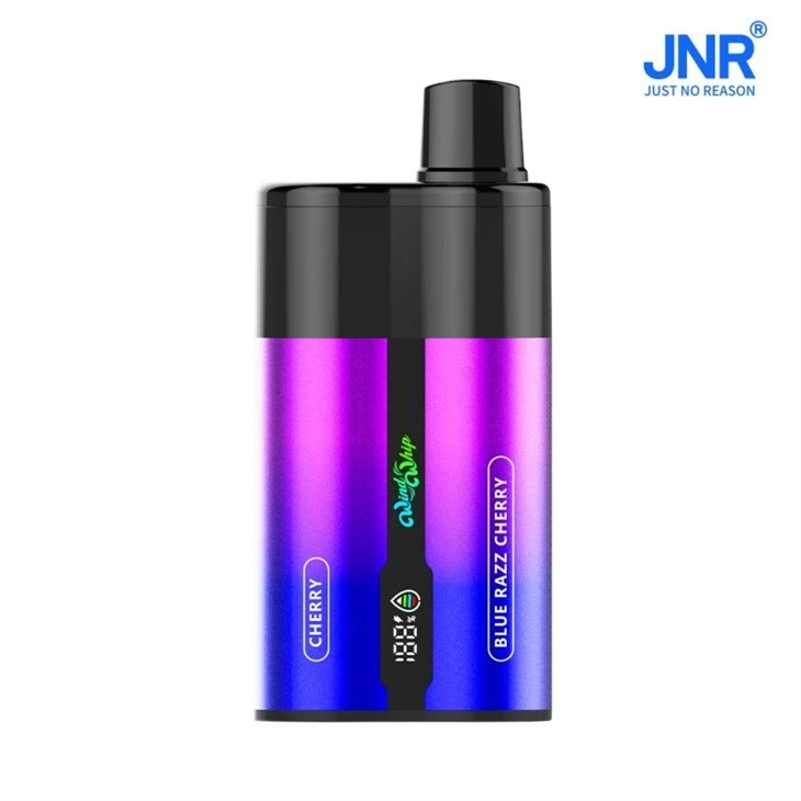 JNR WindWhip 44000 10 JNR WindWhip 44000 10
