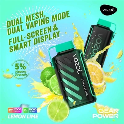 Quanto tempo pode ser usado o Vozol Gear Power 20000?