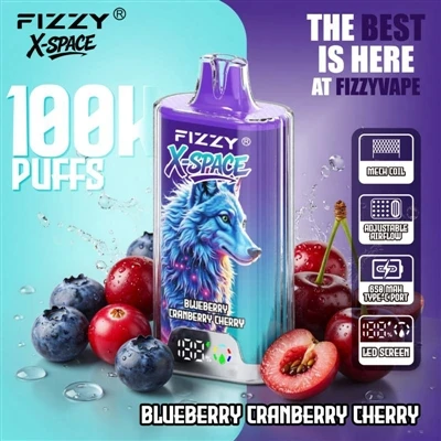 Fizzy 100K X Space: não é nada notável para um dispositivo durar muito tempo;...