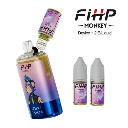 Por que cada vez mais pessoas estão prestando atenção ao Vape recarregável FI...