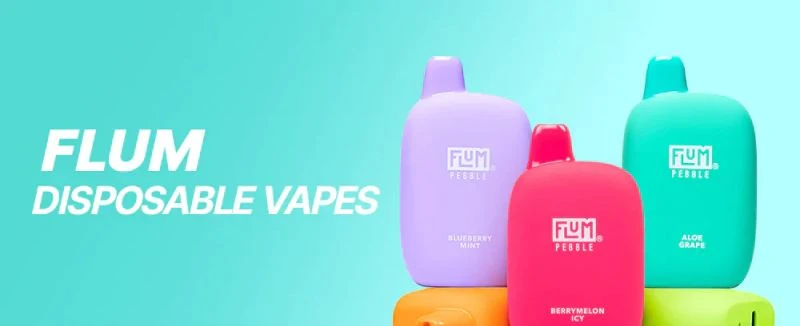 FLUM Pebble 6000 1
