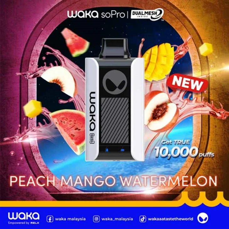WAKA SoPro PA10000 Vape